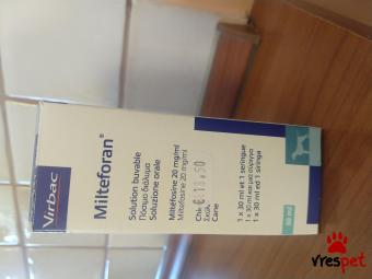Υπηρεσία: Άλλες Υπηρεσίες | Περιοχή: Αγιά Παρασκευή, Αττική