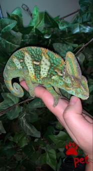 Είδος: - Άλλο - | Περιοχή: Αθήνα, Αττική