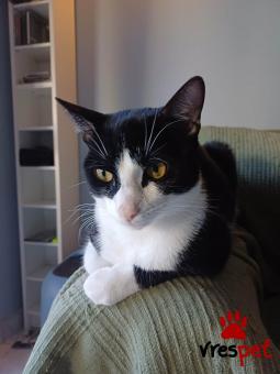 Υπηρεσία: Άλλες Υπηρεσίες | Περιοχή: Αμπελόκηποι Μενεμένη, Θεσσαλονίκη