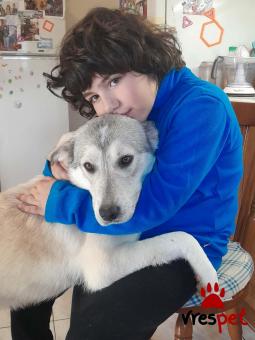 Ράτσα: Άγνωστο - Ημίαιμο | Ηλικία: 8 μηνών | Φύλο: Θηλυκό | Αρ. Microchip: 9012362545478 | Ημίαιμο | Περιοχή: Λαυρεωτική, Αττική