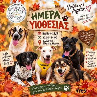 Ράτσα: Λαμπραντόρ - Labrador | Ηλικία: 2,5 μηνών | Φύλο: Θηλυκό | Αρ. Microchip: 0 | Ημίαιμο | Περιοχή: Γλυφάδα, Αττική