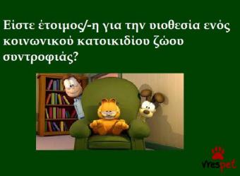 Ράτσα: Άλλη Ράτσα | Ηλικία: 4 ετών | Φύλο: Θηλυκό | Αρ. Microchip: 9821212121211111 | Περιοχή: Αττική