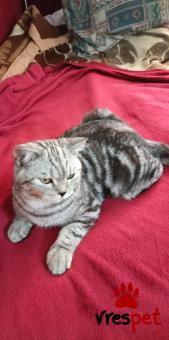 Υπηρεσία: Άλλες Υπηρεσίες | Περιοχή: Καλλιθέα, Αττική