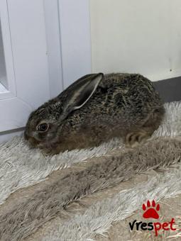 Είδος: - Άλλο - | Περιοχή: Θεσσαλονίκη