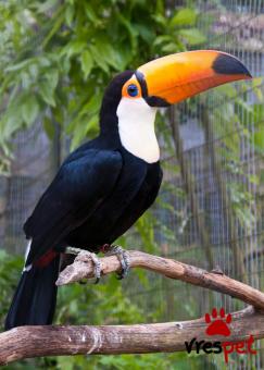 Είδος: - Άλλο - | Ιδιώτης | Περιοχή: Αθήνα, Αττική