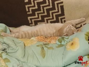 Υπηρεσία: Φιλοξενία | Περιοχή: Αθήνα, Αττική