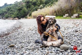 Ράτσα: Άγνωστο - Ημίαιμο | Ηλικία: 3 ετών | Φύλο: Θηλυκό | Αρ. Microchip: - | Περιοχή: Νέα Σμύρνη, Αττική