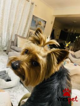 Υπηρεσία: Άλλες Υπηρεσίες | Περιοχή: Πάτρα, Πελλοπόνησος