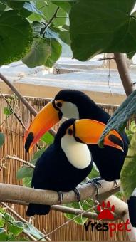 Είδος: - Άλλο - | Ιδιώτης | Περιοχή: Αθήνα, Αττική