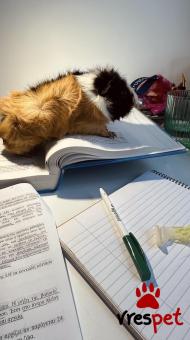 Είδος: - Άλλο - | Περιοχή: Θεσσαλονίκη, Θεσσαλονίκη