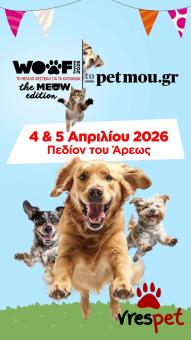 Ράτσα: Άγνωστο - Ημίαιμο | Ηλικία: 4 μηνών | Φύλο: Θηλυκό | Αρ. Microchip: 0 | Ημίαιμο | Περιοχή: Γλυφάδα, Αττική