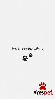 Υπηρεσία: Άλλες Υπηρεσίες | Περιοχή: Παιανία, Αττική