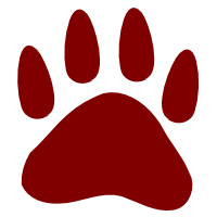 Ράτσα: Τζακ Ράσελ Τεριέ - Jack Russell Terrier | Ηλικία: 5+ | Φύλο: Αρσενικό | Αρ. Microchip: 939000010639504 | Περιοχή: Αττική